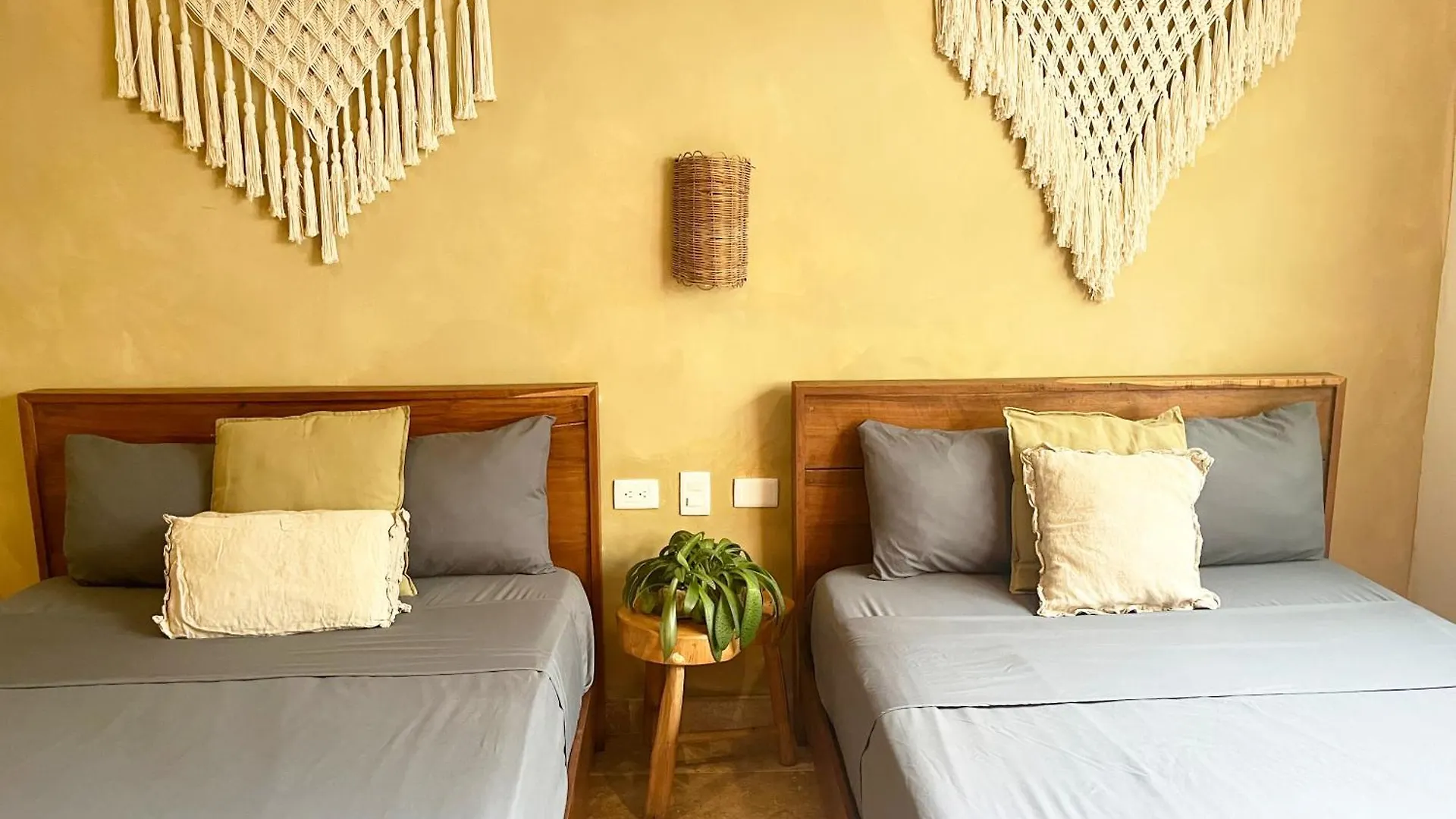 Daire Beguest Paramar Terra Tulum